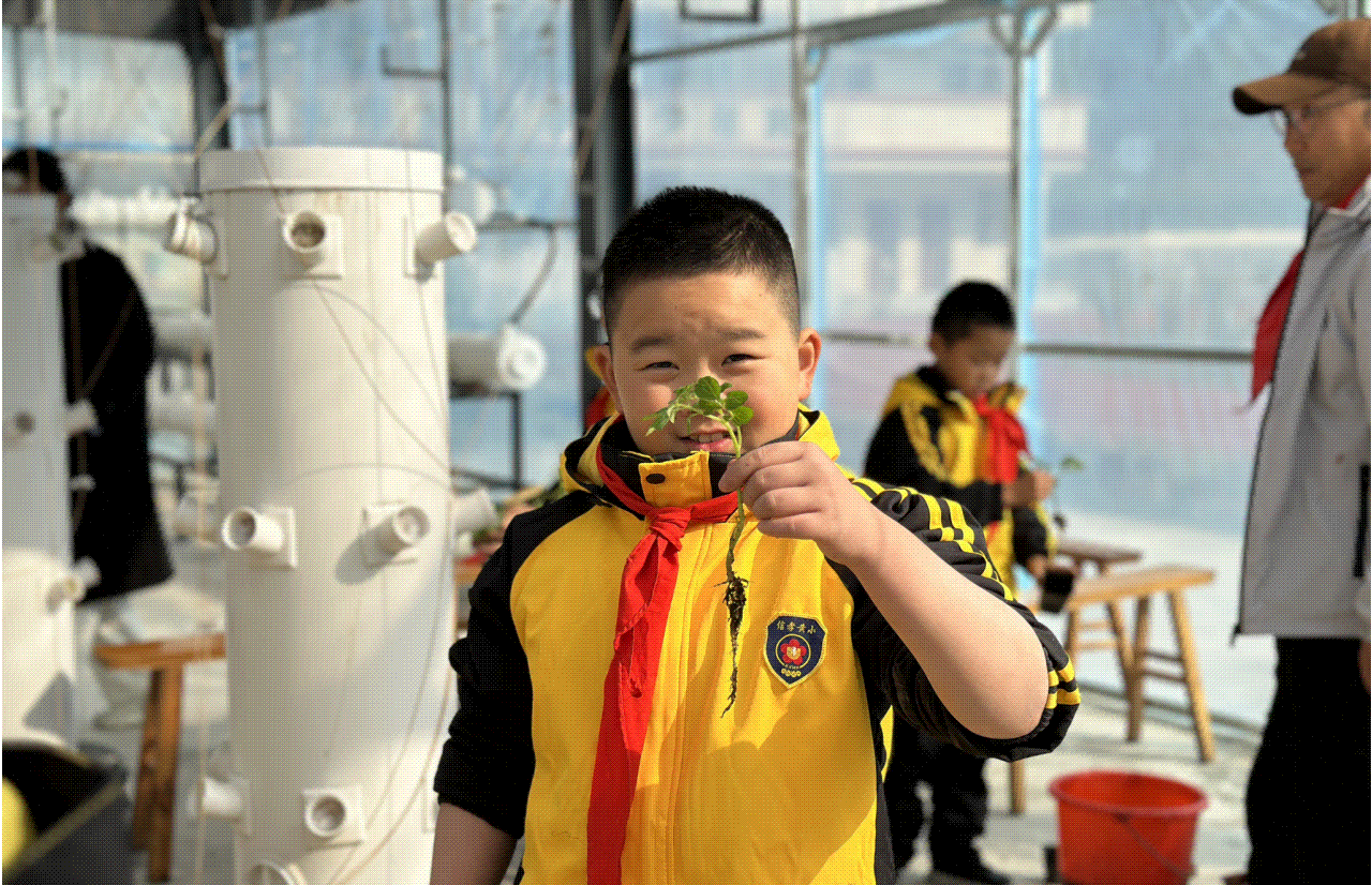 1703647313806527.gif 动图4.gif